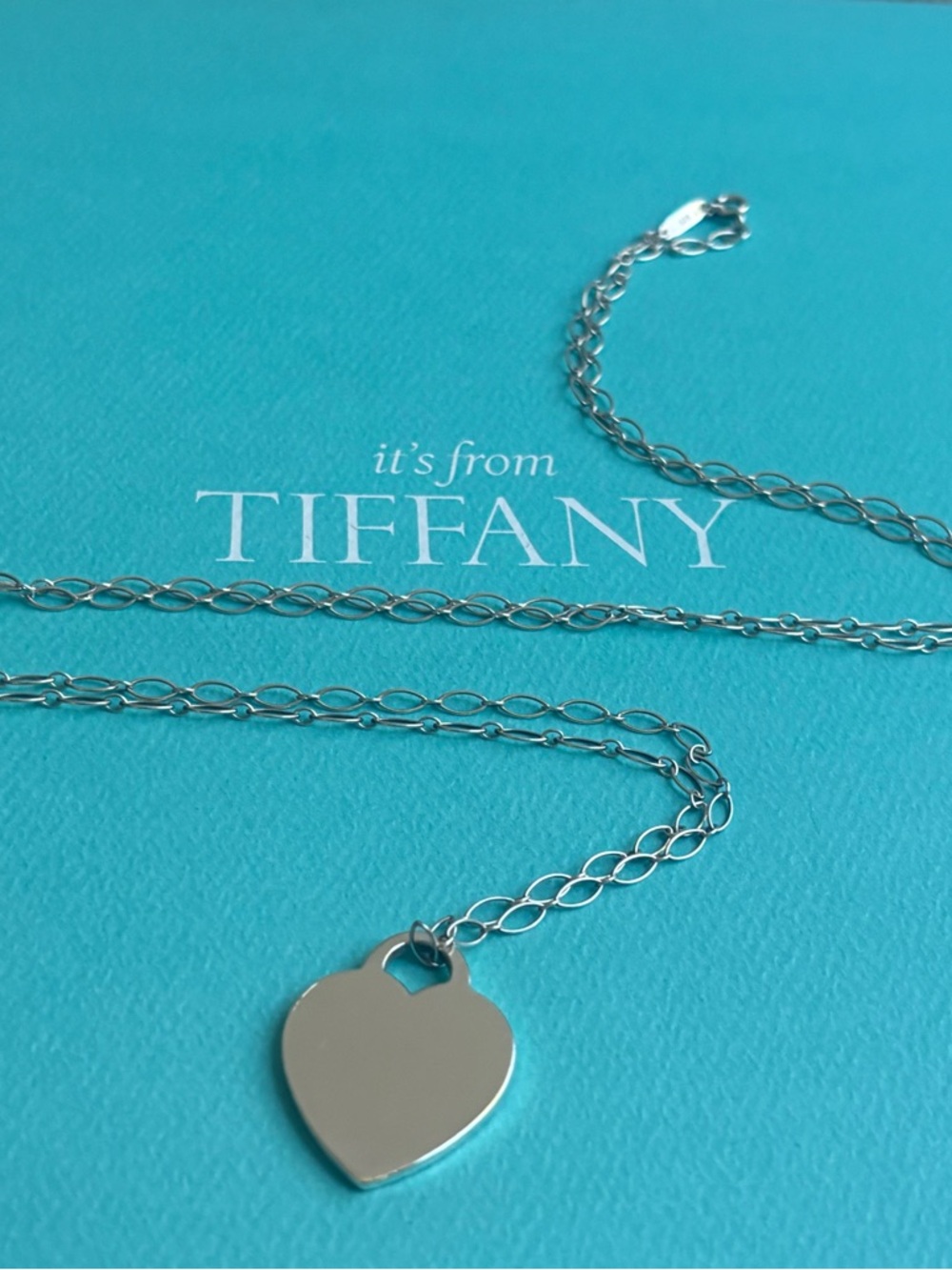 Tiffany & Co. Large Blank Heart Tag Necklace on 30” Oval Chain